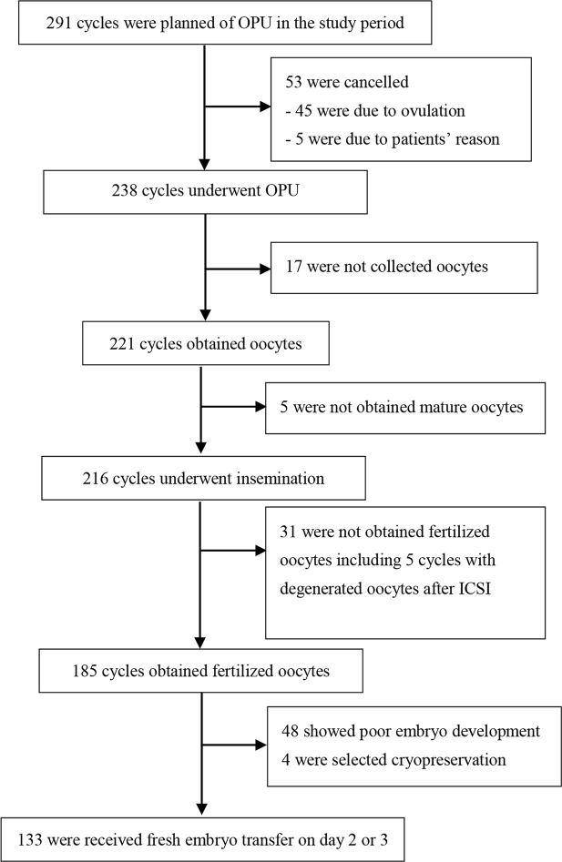 Figure 2. The flow diagram of participant identification and inclusion/exclusion in the in vitro fertilization (IVF) group. The analysis was based on 185 cycles, in which fertilized oocytes were obtained. Of these, poor embryo development was identif