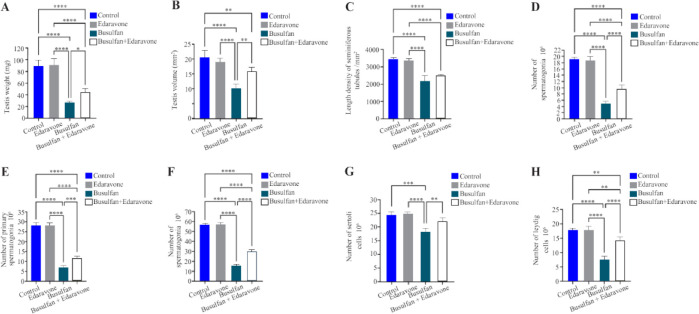 Figure 4. A–H) The effect of edaravone on testis weight and stereological parameters in the testis of busulfan-induced mice. Mean±SD of the testis weight and stereological parameters in different groups (** p<0.05, ** p<0.01, *** p<0.001, an