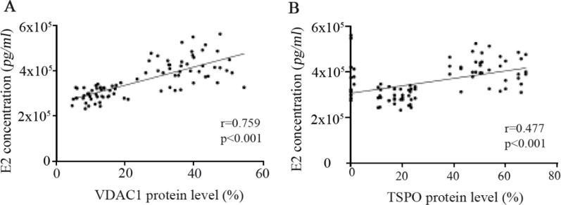 Figure 4. Correlation between concentration of estradiol (E2) in follicular fluid with the expression of (A) voltage-dependent anion channel 1 (VDAC1) and (B) translocator protein (TSPO) in GCs of 43 PCOS patients and 43 controls, as determined by Sp