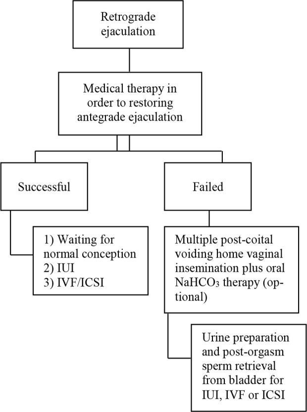 Figure 2. Sperm retrieval in retrograde ejaculation