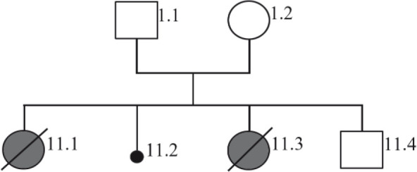 Figure 1. The pedigree analysis of the family